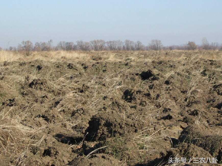 开荒土地的征地补贴归集体所有？这几个问题您还不知道！
