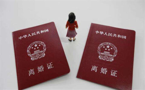 离婚协议书怎么写及2024离婚协议书标准版