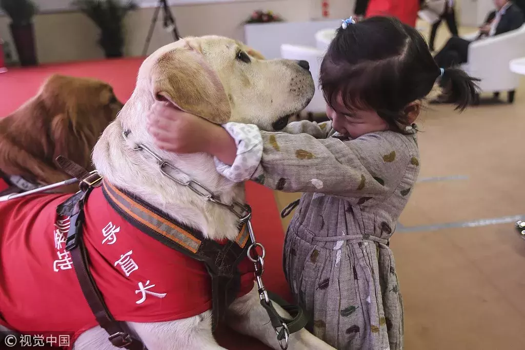 清明节扫墓 骨灰盒能带上高铁吗？