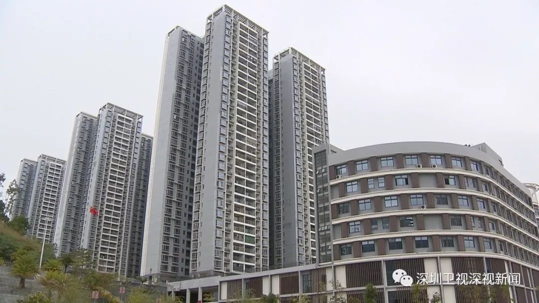 别错过！40万套公共住房来了，满足这些条件快来申请吧