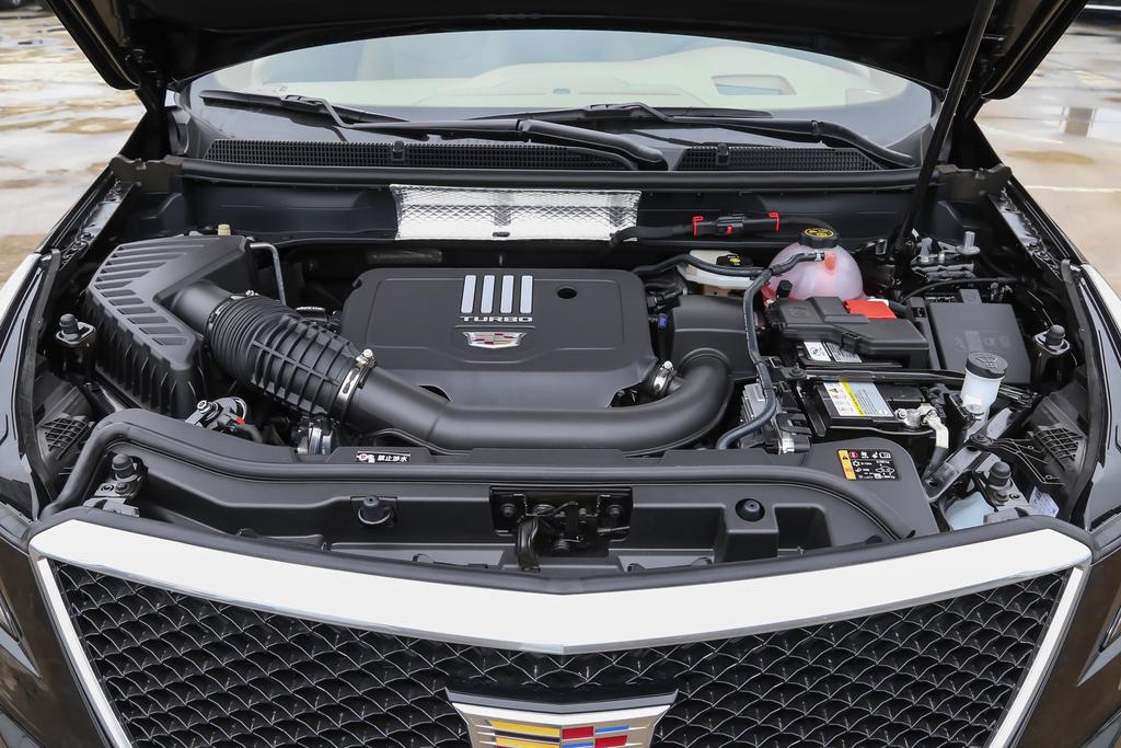 【安全科普知识：一起学习交通安全知识！】