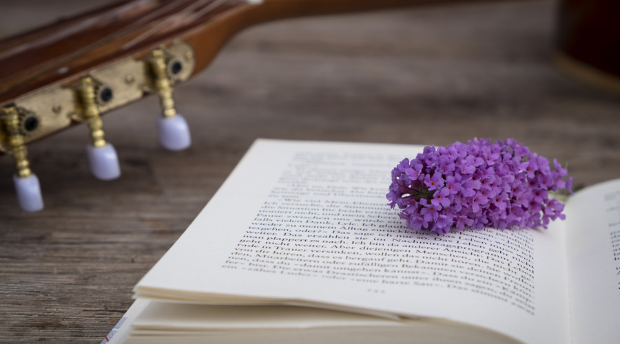 有限责任公司股权转让的法律规定