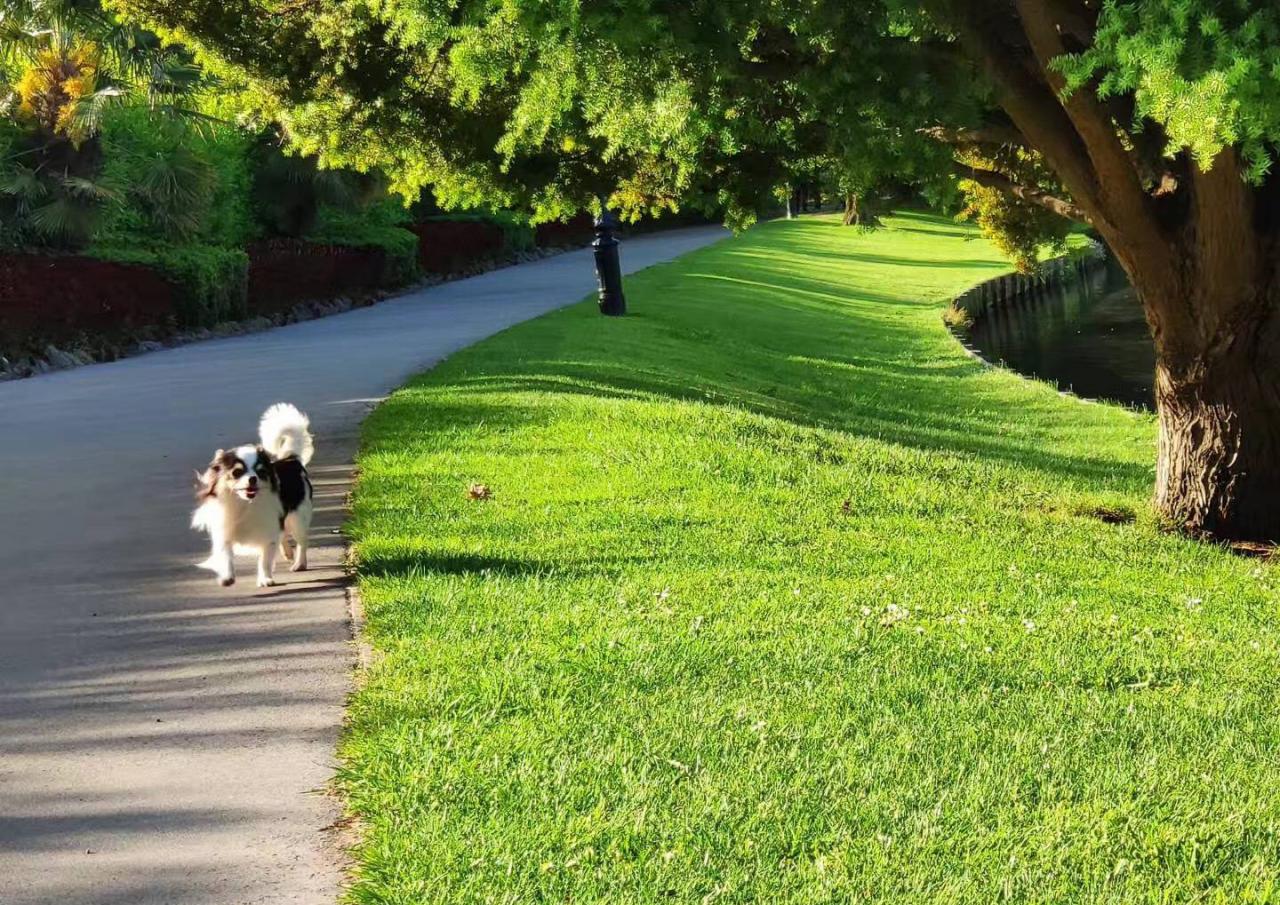 新西兰投资移民要变政？二类投资移民快了解