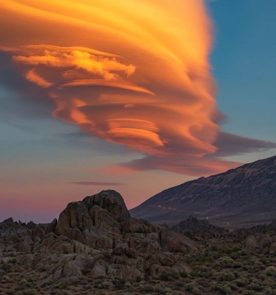 诉讼时效期间如何起算？