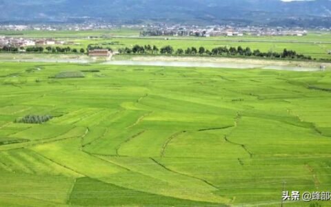 宅基地退出怎么补偿及宅基地自愿退出补偿标准