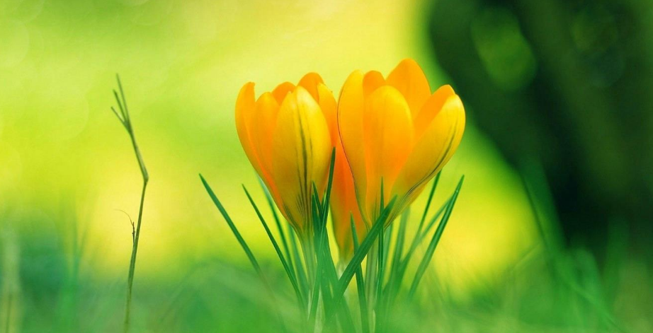 薪资证明怎么写？怎么找人帮忙开薪资证明？这里就可以哦