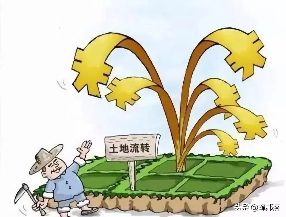 农村承包土地退出可得多少补偿？最高可拿10万，退出流程就3点