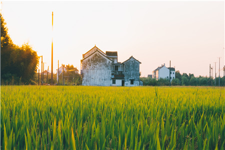 2021新农保可以转社保吗？新农保转社保有哪些流程？