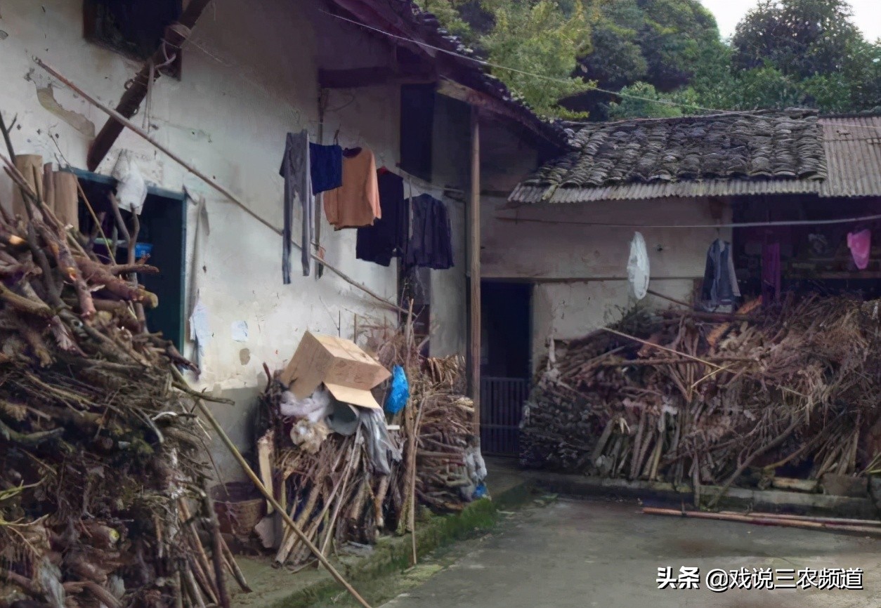 2021年宅基地新规！满足4个条件，允许"转让"！有房的早了解