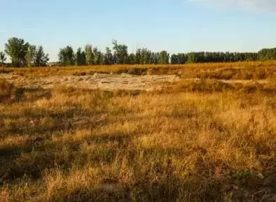 一文读懂：农村集体产权制度改革改的是什么，怎么改？