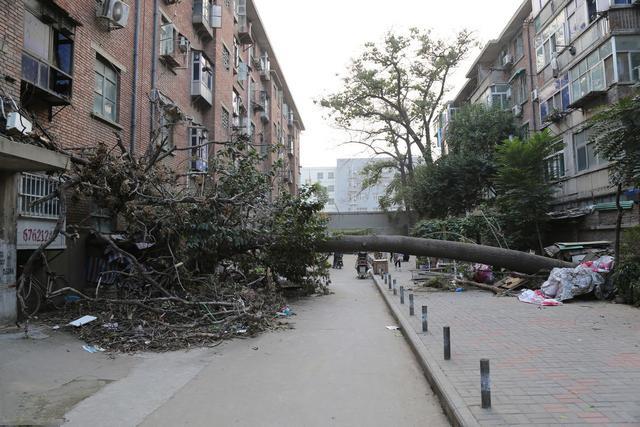 居住美好生活（321）老旧小区值得借鉴的房屋修缮范围和标准