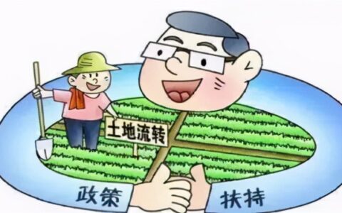 集体土地转让合法吗及集体土地转让的法律规定