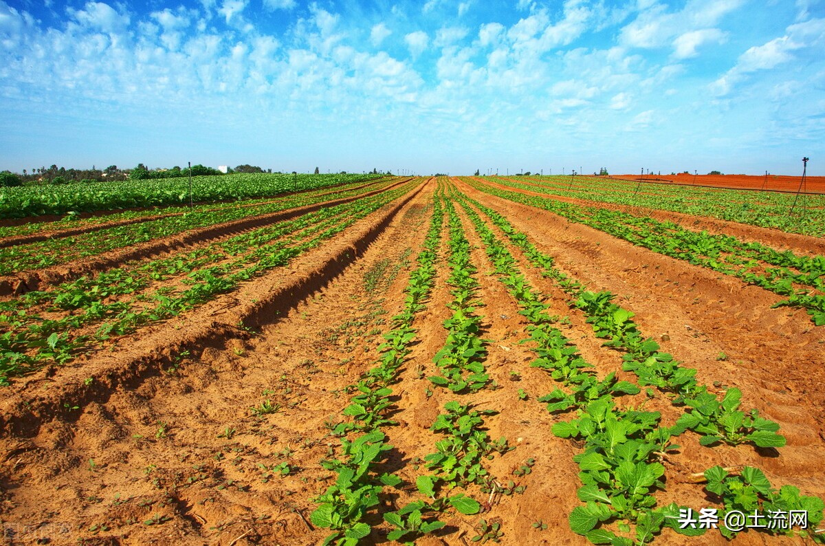 2021土地闲置费征收标准最新：由谁来征收？征收范围包括哪些？