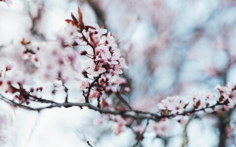 客户拖欠货款怎么办及对付客户拖欠货款技巧