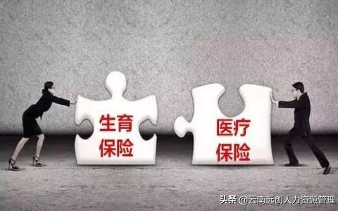 生育保险医保合并了吗及医疗和生育险合并后缴费比例