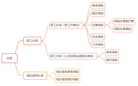2025年生育险政策是什么及2025年最新计划生育政策