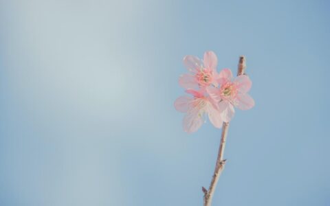 不补办结婚证能离婚吗及新婚姻法离婚最快方法