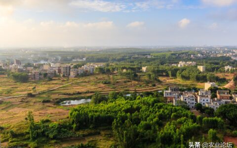 2025年农村宅基地的最新政策及农村宅基地新政策