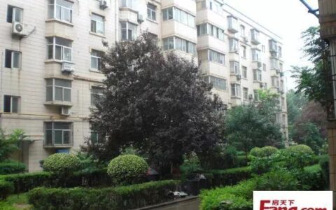 商品房和经济适用房有什么区别及经适房转商品房的利弊
