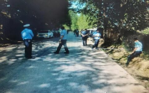 交通肇事逃逸致人死亡及交通肇事因逃逸致人死亡的认定