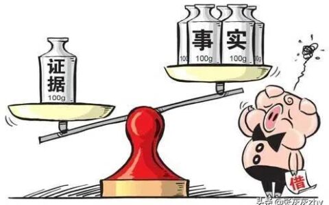民事证据规则是什么及民法典关于新证据的规定