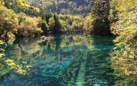 商铺租赁合同范本及商铺出租合同范本最新