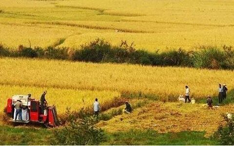 集体土地征收的法定程序包括哪些及政府征收农民土地补偿标准