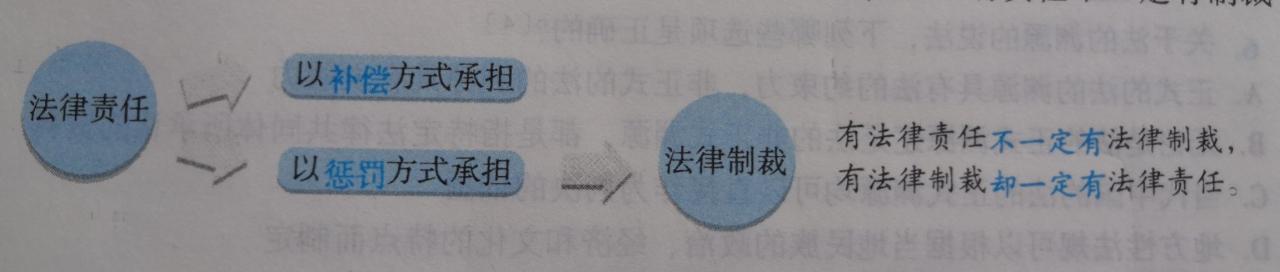 什么是法律责任？