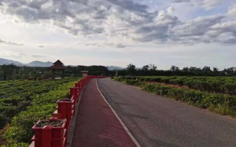 最高院关于串通投标罪的解释及串通投标罪追诉标准