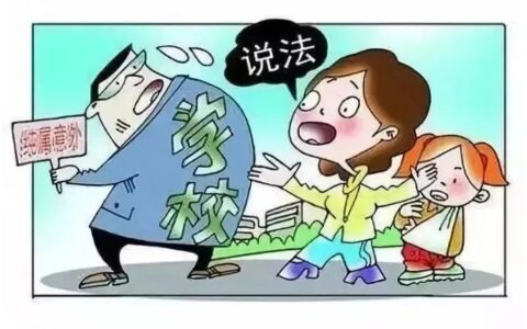 限制民事行为能力人指的是什么及民事行为能力人的界定