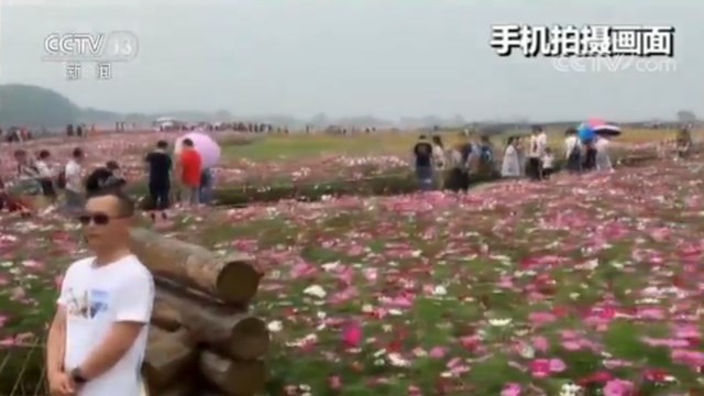 “网红打卡地”调查：扰民现象不少 严重的可拘留