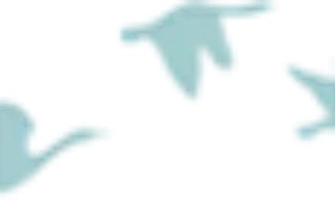 非法占用耕地怎么处罚及非法占用耕地罪量刑标准