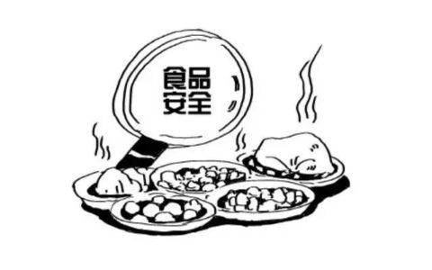 食品安全法是怎么规定的及食品安全法处罚条例