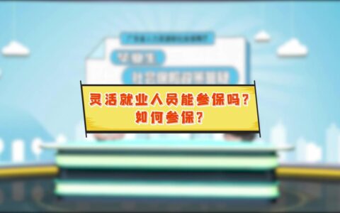 社保包含哪些项目及2024年个人社保缴费标准表