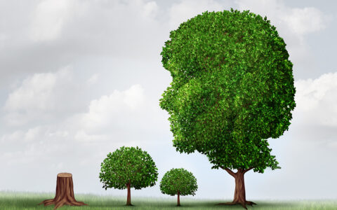 非婚生子女抚养权及非婚生子女抚养权的判定标准