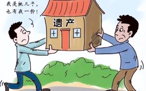 房子遗产继承怎么分配及遗产继承顺序及比例图