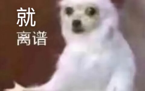 公司不发工资怎么办及讨要工资最快最狠的方法