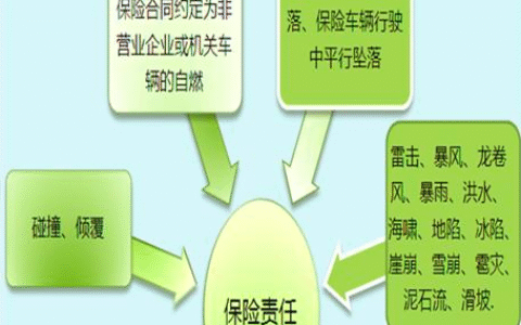 车辆损失险是什么意思及车辆损失险赔偿范围