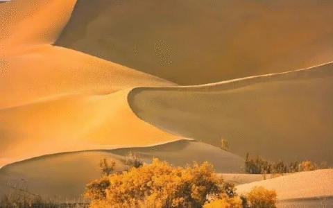 免责声明怎么写及最简单安全免责协议书