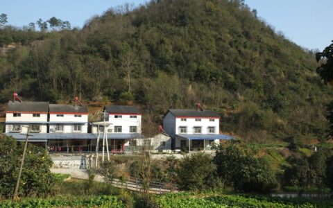 农村宅基地管理办法及农村宅基地管理法最新