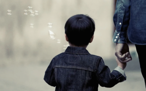 子女抚养权是如何确定的及子女抚养权法律规定