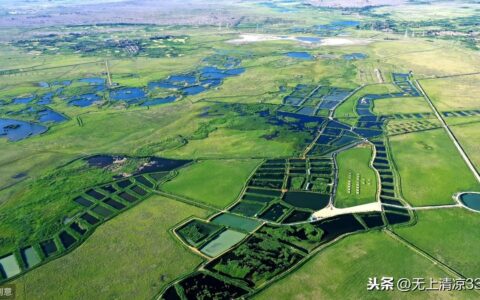 仓单质押是什么意思及标准仓单质押的流程图
