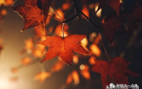 委托代征管理办法及委托代征的范围和条件