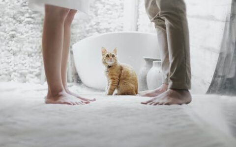 老婆有外遇怎么办及老婆外遇老公最佳处理办法