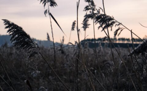 离婚诉状怎么写男方及离婚起诉书模板标准版