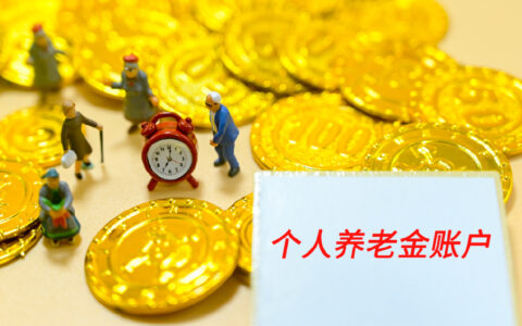 个人养老金缴费标准是多少及养老保险缴费明细表