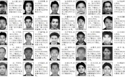 通缉网上查询通缉及2024通缉人员查询网