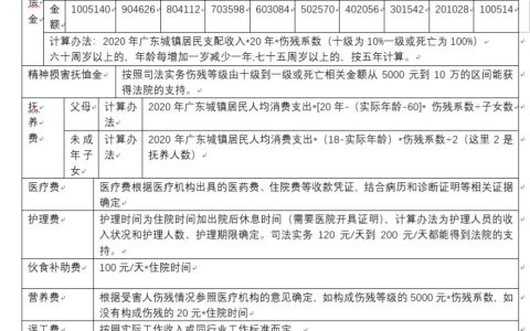 广东省交通事故赔偿标准及2025年交通事故全责赔偿明细
