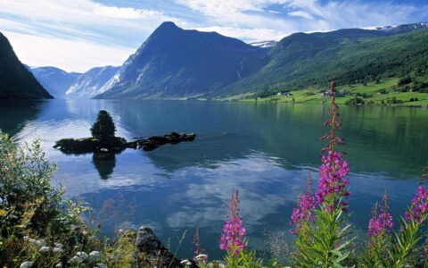 贸易公司注册流程及费用多少及国外注册公司流程及费用