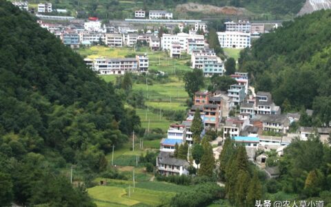 申请农村宅基地的条件是什么及申请农村宅基地的最新政策
